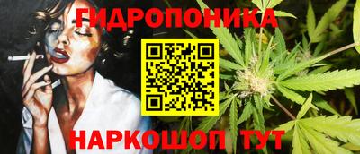 каннабис Ачхой-Мартан